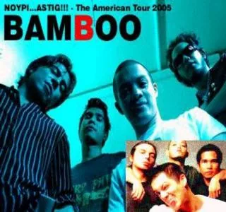 Bamboo