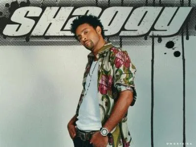 Shaggy